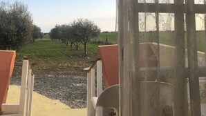 A room with a view of an olive grove and a clear sky. - MERSINERA Paradise Garden NOAH  house (Trachoni)