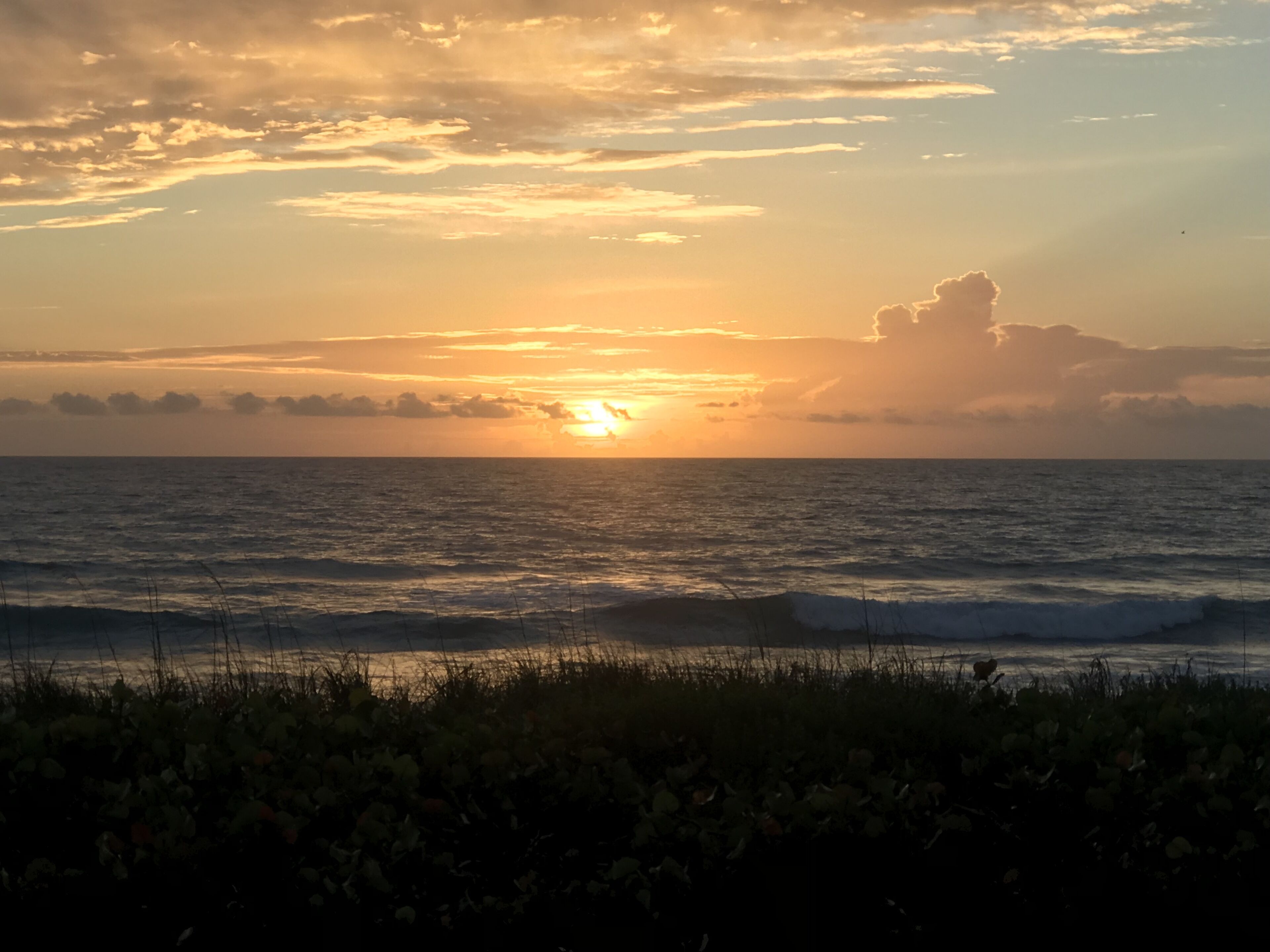 Cozy Beachfront Property- Perfect for Snowbirds