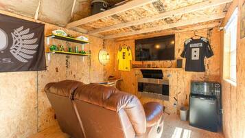 Smart TV, fireplace, books, stereo