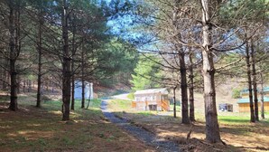 Un área boscosa con un sendero de grava que conduce a una cabaña de madera.