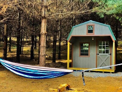 Gavin Cabin