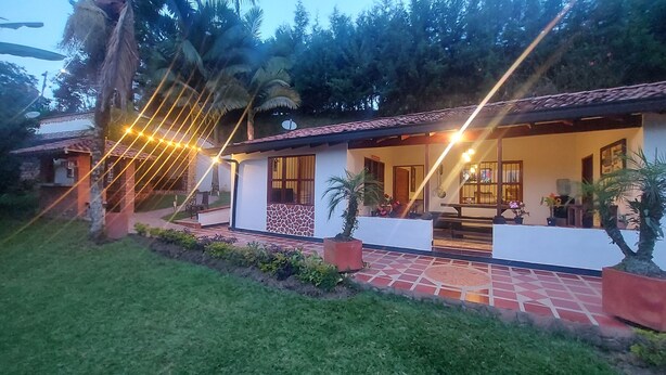 Une maison dotée d’un patio carrelé, d’un porche abrité et d’un petit jardin agrémenté de plantes en pot.