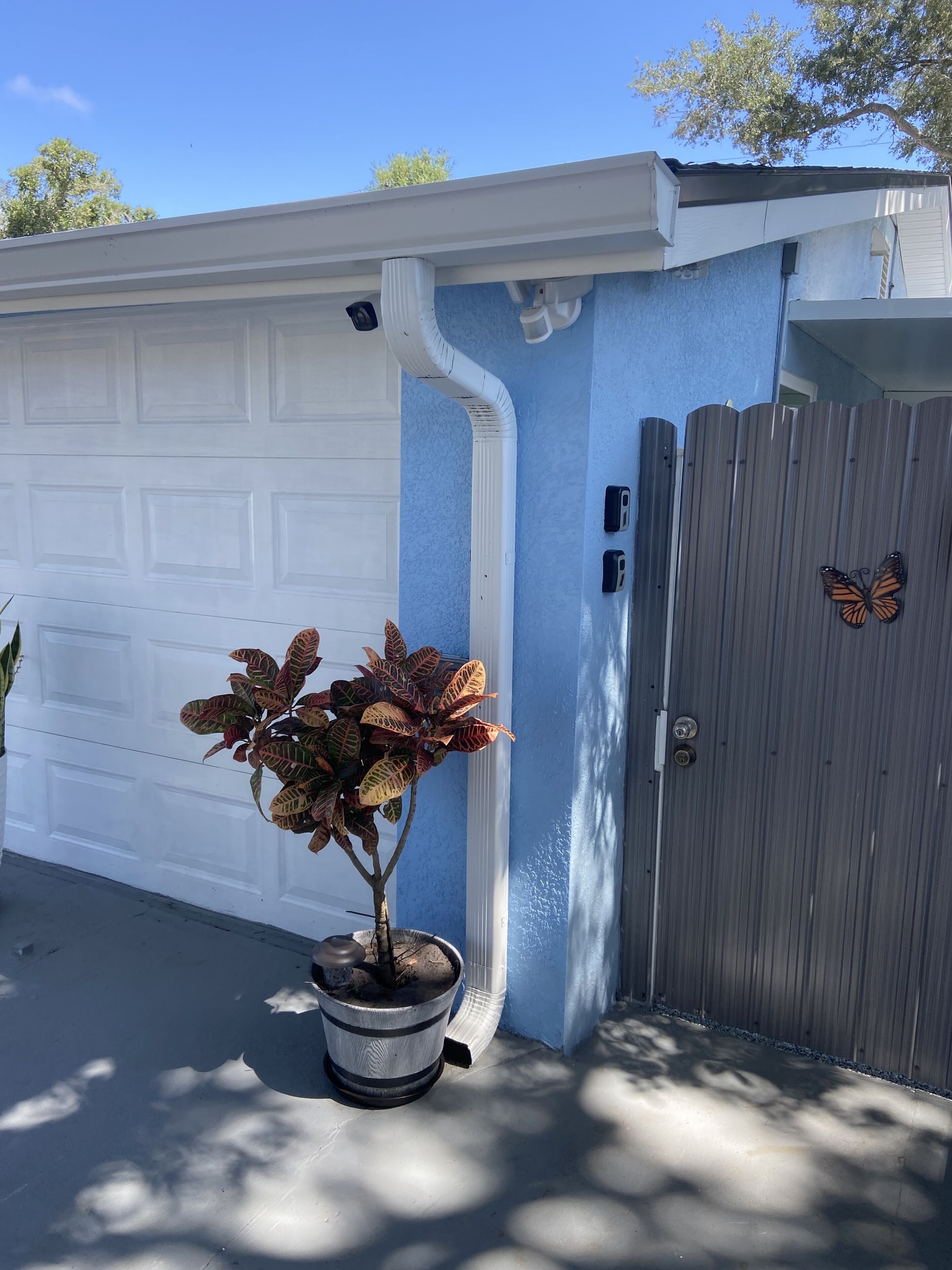 A garage with a potted plant, a butterfly decoration, and a blue wall.