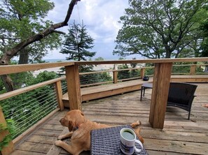 Property grounds - Cottage on Lake Michigan across from Grand Haven State Park. (Grand Haven)