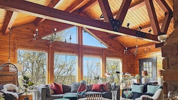 TV, fireplace, video games, books