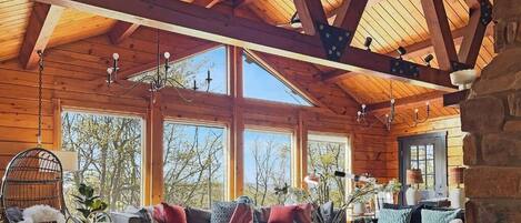 Televisión, chimenea, videojuegos, libros