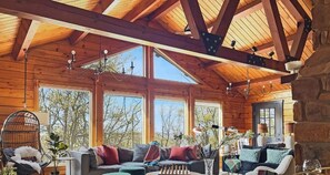 Televisión, chimenea, videojuegos, libros