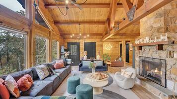 Télévision, cheminée, jeux vidéo, livres