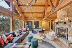 TV, fireplace, video games, books