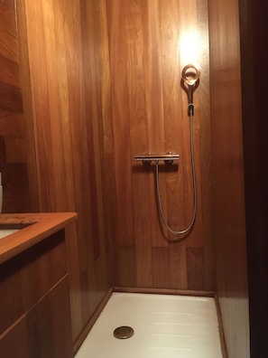 Chuveiro, secador de cabelo, toalhas de banho, sabonete