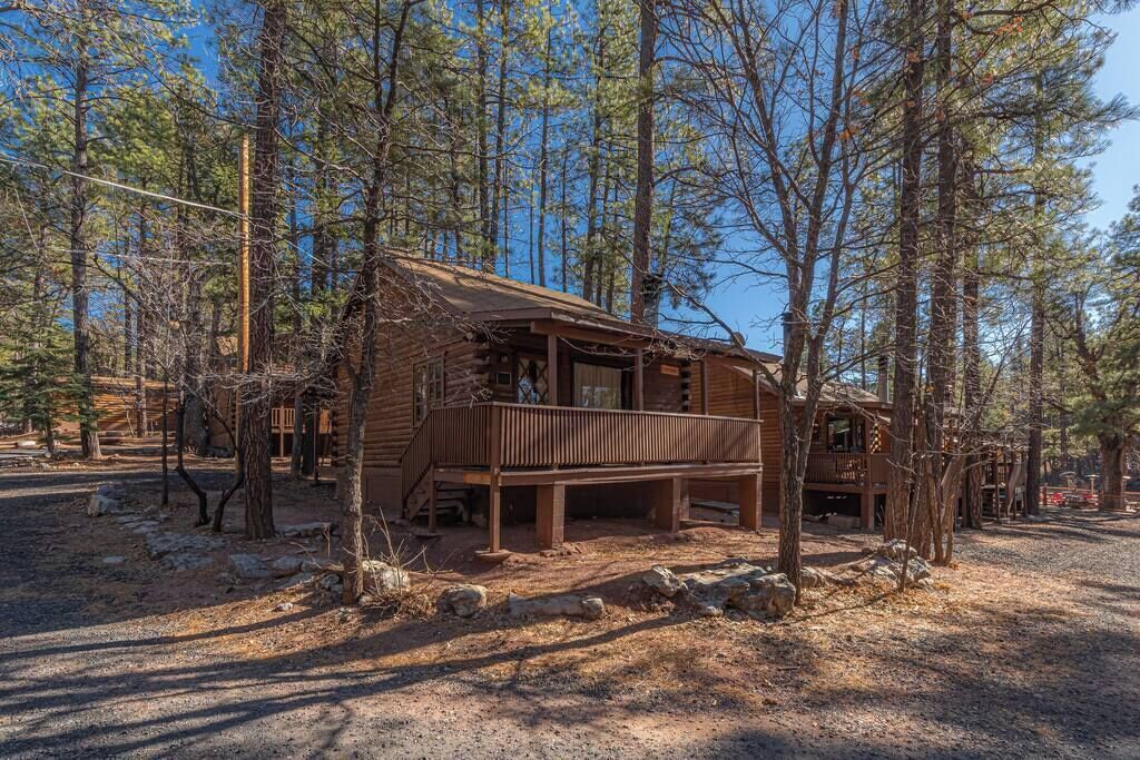 A rustic cabin with a porch, surrounded by tall pine trees.