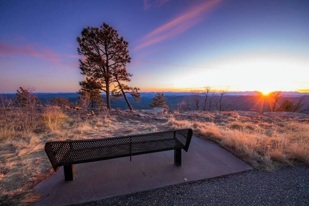 A bench in a natural setting with a view of the horizon and a tree.