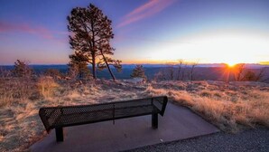 Un banc situé dans un cadre naturel, offrant une vue sur l’horizon et un arbre.