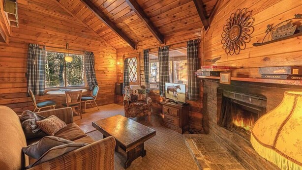 Un intérieur de chalet chaleureux avec une cheminée, des murs en bois, un coin repas et un téléviseur.