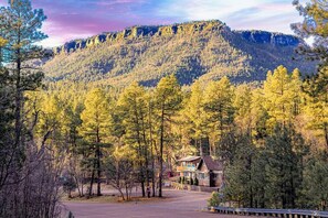 A lodge with a mountain backdrop, surrounded by dense forest. - Forest Cabin 1 Hunters Blind (Payson)