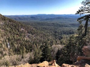 View from property - Forest Cabin 1 Hunters Blind (Payson)
