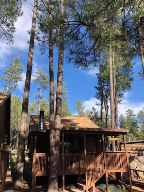 Exterior - Forest Cabin 1 Hunters Blind (Payson)
