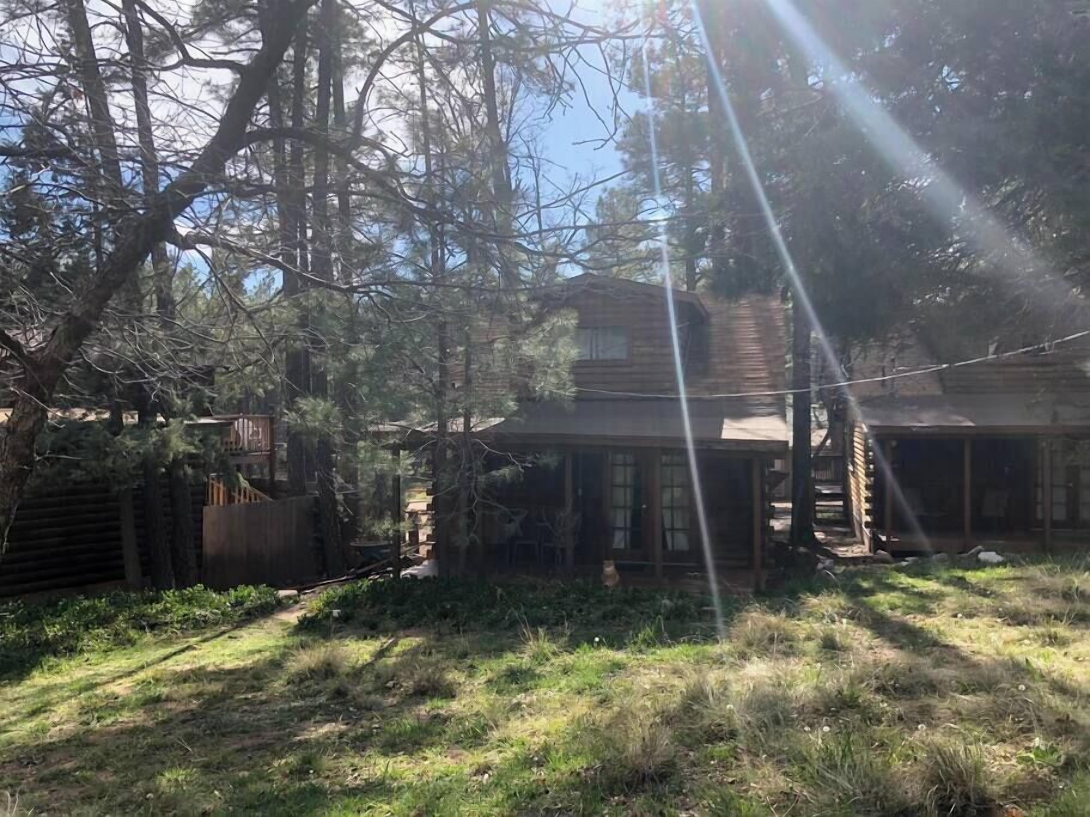 Un chalet rustique aux murs en bois, entouré d’une forêt dense et bordé d’une pelouse.