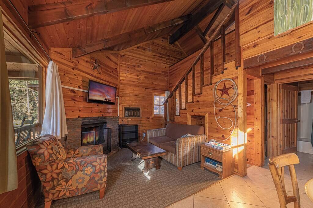 Un interior de cabaña acogedor con chimenea, paredes de madera, un televisor y una zona de estar confortable.