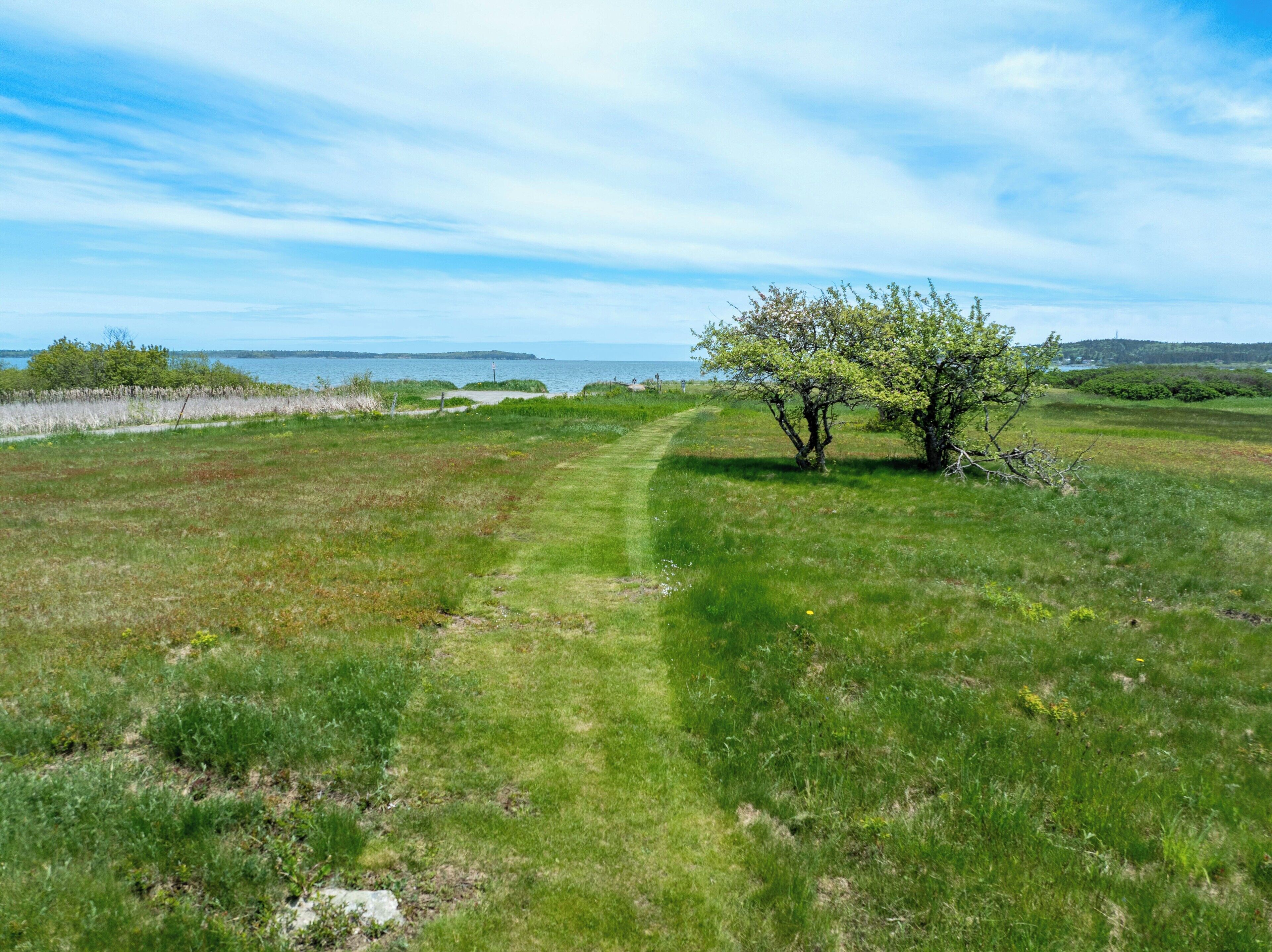 A grassy field with a path leading to a tree-lined area.