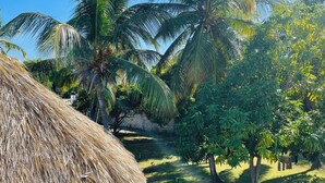 A thatched-roof structure, palm trees, and a grassy area with a brick wall in the background. - Welcome to Villa Rosa Bella. Viva la vida Bella (Palmar de Ocoa)