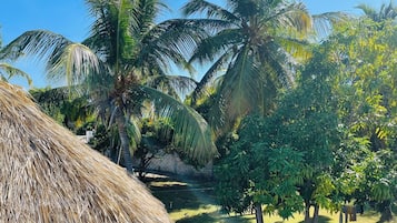 Área da propriedade