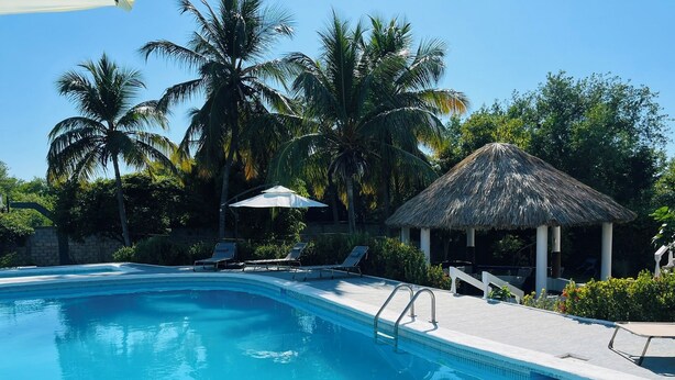 A clear blue pool with lounge chairs and a thatched-roof gazebo surrounded by palm trees. - Welcome to Villa Rosa Bella. Viva la vida Bella (Palmar de Ocoa)
