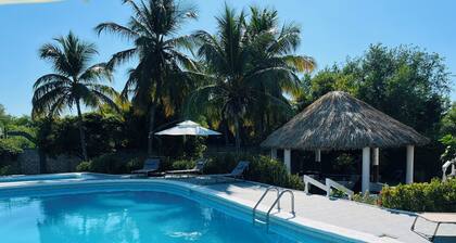 Welcome to Villa Rosa Bella. Viva la vida Bella