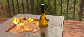 Busch Gardens-Williamsburg-Fishing-Cornhole-Deck-River View- FIRE TABLE!