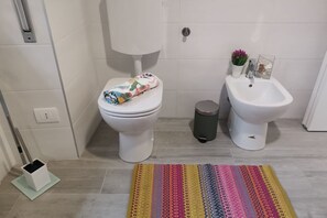 Shower, hair dryer, bidet, towels