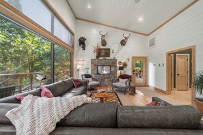 Smart TV, fireplace, books