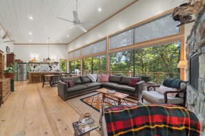 Smart TV, fireplace, books