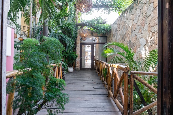 Garden view