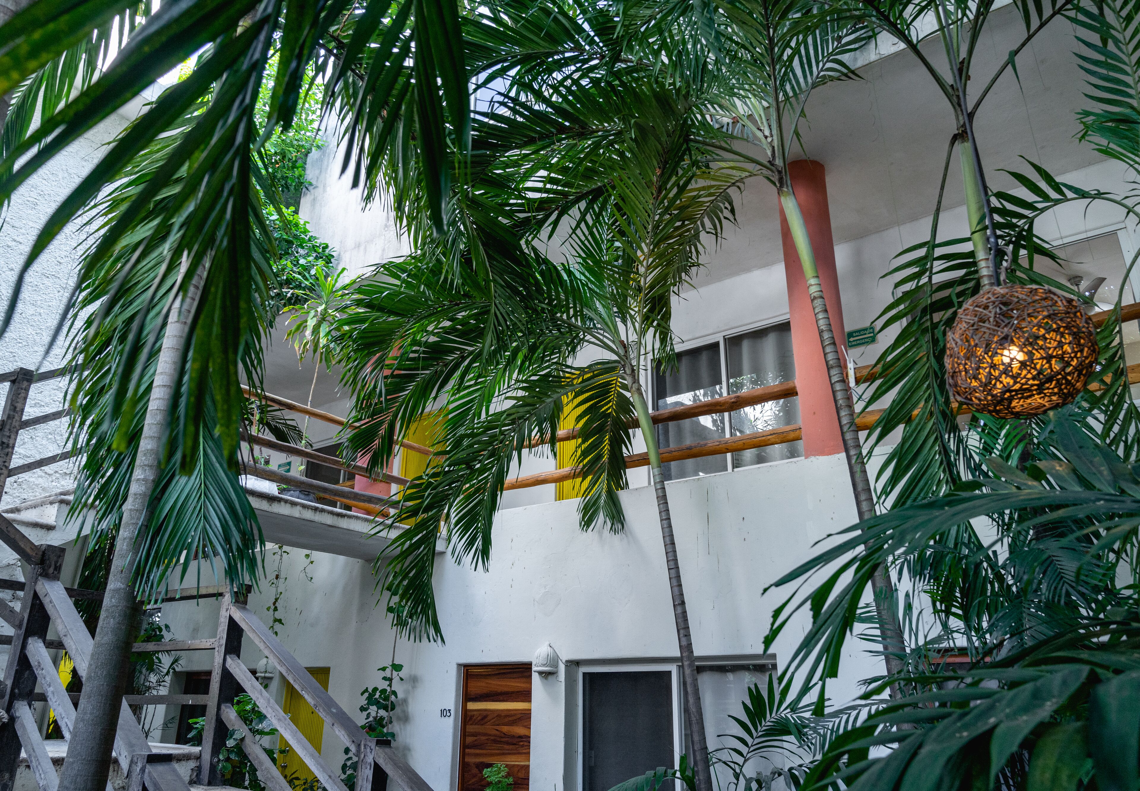 Foto - Tesoro Escondido