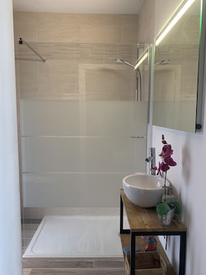Shower, hair dryer, towels, soap