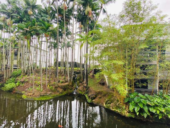 Property grounds - Hilo SunShine Rental.2bds1ba,common swimming pool. (Hilo)