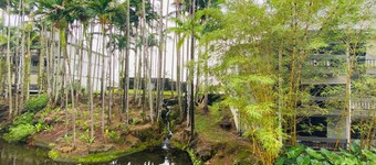 Hilo SunShine Rental.2bds1ba,common swimming pool.