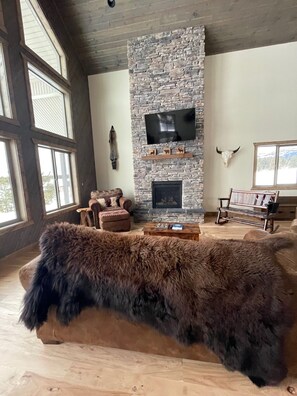 Smart TV, fireplace, books