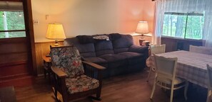 Smart TV, fireplace, DVD player, books