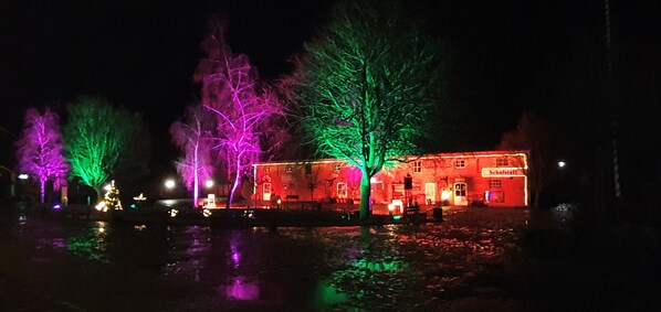 A building with illuminated trees and a reflection on the water.