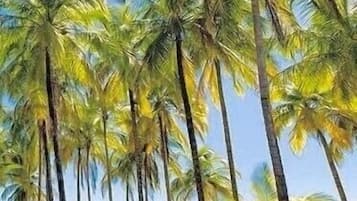 Beach nearby, sun-loungers, beach towels