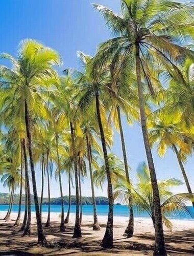 Luxury Oceanfront View Villa with Chef, Housekeeping and Concierge Services