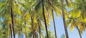 Luxury Oceanfront View Villa with Chef, Housekeeping and Concierge Services