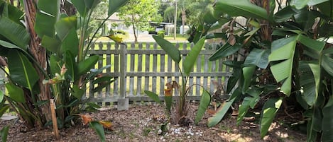 Parco della struttura