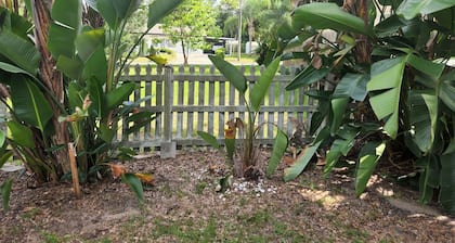 Charming Mt Dora 2 Bedroom House - 1 mile from Historic Downtown!