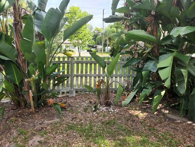 Charming Mt Dora 2 Bedroom House - 1 mile from Historic Downtown!