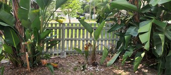 Charming Mt Dora 2 Bedroom House - 1 mile from Historic Downtown!