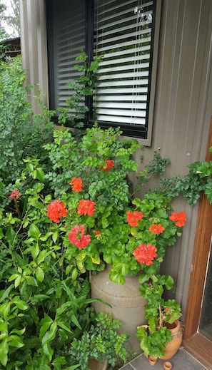 Stroll through the serene garden, surrounded by lush greenery and vibrant flowers.