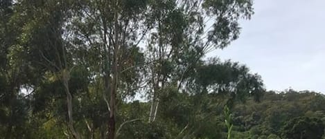 Àrea exterior de l'allotjament