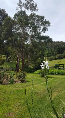 Farm "The Quarters" Foxground", Berry views